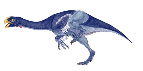 Obraz na płótnie Canvas コンコラプトル　白亜紀後期のオビラプトル科に属する恐竜。オビラプトルより小型で、体長は1.5メートルほど。雑食性。コンコラプトルは「貝泥棒」という意味があるが、鼻孔が頭部の上の方にあり、水中の貝を食べたのではないかと推測されたところから名付けられた。オビラプトルと同じく、顎の力が強く、硬いものを砕く突起が口の中にある。走行する姿を図録的に再現したイラスト。