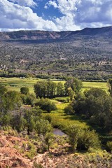 Late Summer early Fall panorama forest views hiking, biking, horseback trails through trees along Highway 40 near Daniels Summit between Heber and Duchesne in the Uintah Basin, Utah, USA. 