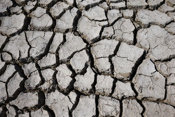 Climate warming dry chapped land