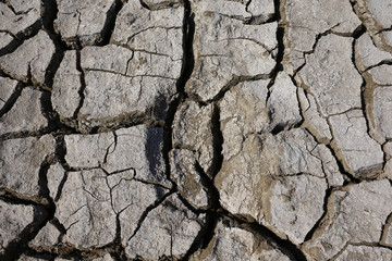 Climate warming dry chapped land