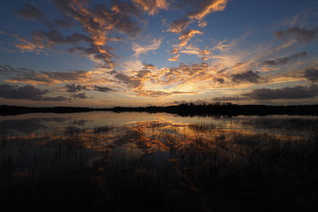 Colorful sunrise reflected in the perfectly calm water of Nine Mile Pond in Everglades National Park, Florida.
