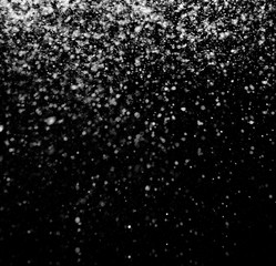 Falling Snow down On The Black Background