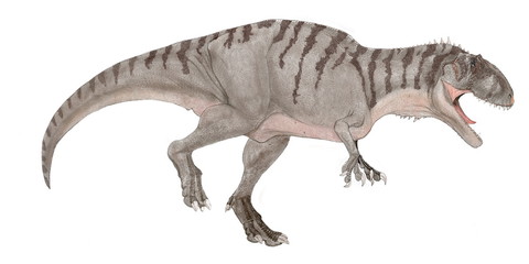 エオカルカリア　北アフリカの地層から発見された　白亜紀後期のカルカロドントサウルス科の大型の肉食恐竜。エオカルカリア・ディノプスという学名は「恐ろしい目の夜明けのワニ」。サメのような鋭い歯はカルカロドントサウルス科の恐竜の特徴であり、腐肉食性ではなく、積極的な捕食者であったと推測されている。イラストは明るい体色ながら不気味さも併せ持つようなイメージで仕上げた。