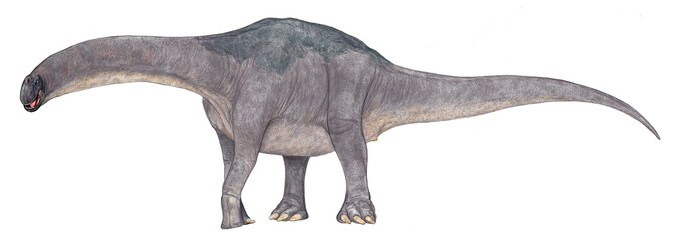 アルバータケラトプス 角竜類 ケラトプス科の恐竜としては近年の作品 カナダの専門家のアドバイスを受け角の長さ等にも反映させた 今後この恐竜を描くつもりはない イラスト画像完成2007年 体色は自由に設定した Wall Mural Mineo