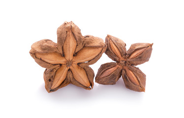 Nuts Incas , sacha inchi peanut seed on white background