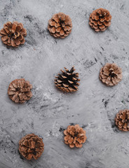Pine cones on grey stone background.