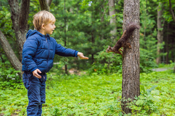 Boy and little squirrel in the park © galitskaya