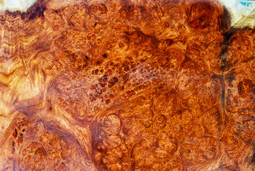 Afzelia wood burl Exotic For Picture Prints interior decoration car, burl wood Exotic Wood Background Texture