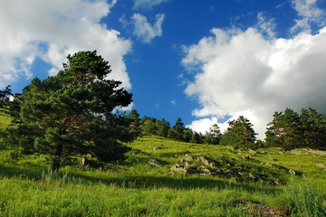 Landscapes of the Altai Mountains.