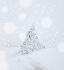 Naklejka na ściany i meble Lonely pine tree in heavy snow fall middle of winter. Winter background