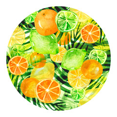 Watercolor round element, background, illustration. Green leaves of a tree, palms, abstract fruit, citrus, orange, lime, lemon, abstract splash. 
green paint. On a white isolated background. 