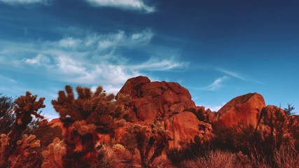 Desert Joshua Tree Red Rock Boulders time lapse footage.
