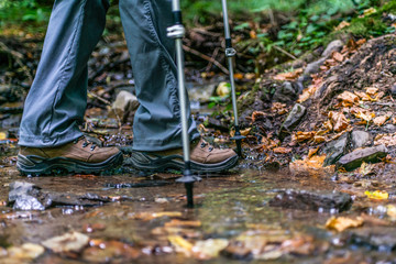 Young girl woman Hiking schoes and sticks detail view in the forest outdoor activity in nature