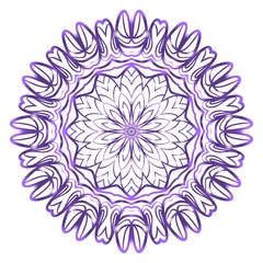 Modern Decorative Cicle Shapes. Floral mandala. vector illustration