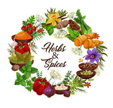 Herbs and spices, seasonings and condiments