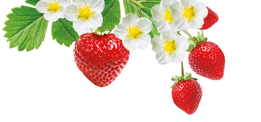 red strawberry freshness tasty