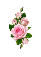 Pink rose flower and leaves in romantic arrangement