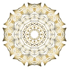 Beautiful round flower mandala. Vector illustration. Abstract.