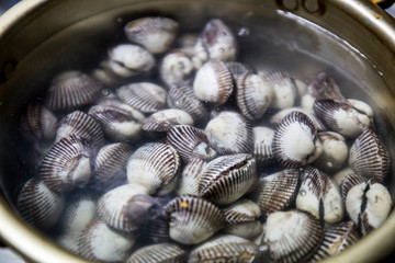 Washing off Blood cockle