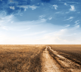 Fototapeta premium road in the fields