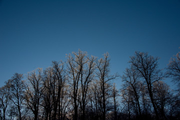 Park View at the island Drottningholm at first winterday in Stockholm