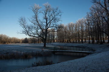 Park View at the island Drottningholm at first winterday in Stockholm	