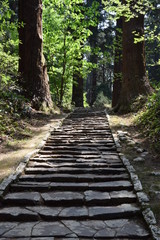 羽黒山の石段 ／山形県鶴岡市の羽黒山は標高414mで、山岳信仰の中心地として有名です。参道は瑞心門から国宝の五重塔を通り、上ること2446段と、石段の数で神社では日本一です。出羽三山神社までは車での参拝も出来ますが、パワースポットの御利益は、徒歩の方が上と言わています。