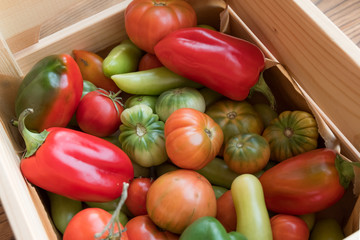 Red and green tomatoes on a wooden background. Tomato harvest