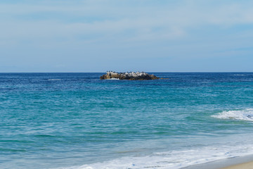 Beautiful scenery around Laguna Beach