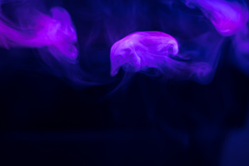 purple, blue, pink smoke (evaporation) on a black background