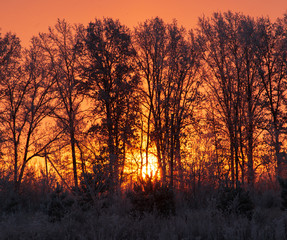 frosty morning dawn