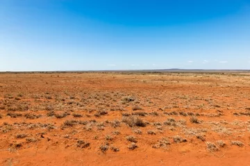 Fototapete Zentrales Queensland Trockenland - Queensland Australien. Offenes Land südlich von Charters Towers in Far North Queensland © jeayesy