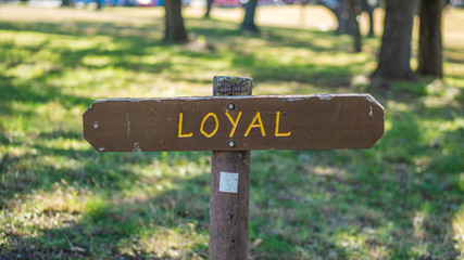 Brown wooden sign in grassy field with loyal written on it