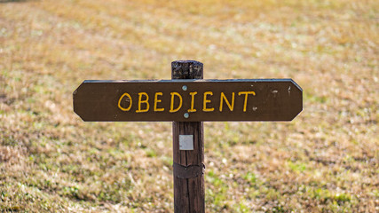 Brown wooden sign in grassy field with obedient written on it