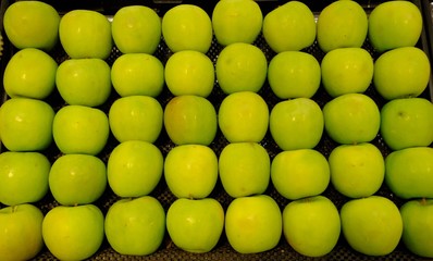 Multiple green apple fruit pattern 