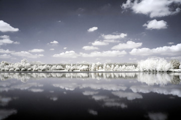Magie d'hiver