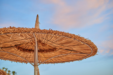 umbrellas on the beach