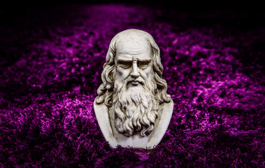 Leonardo purple carpet