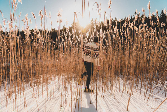 Man in wheat field in snow in Sodermanland, Sweden