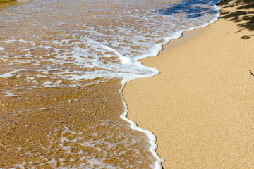 sea waves and pure sands at the beach