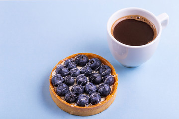 Delicious fresh blueberry tartlet with vanilla cream