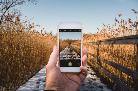 Man´s hand holding smart phone taking photograph of winter field