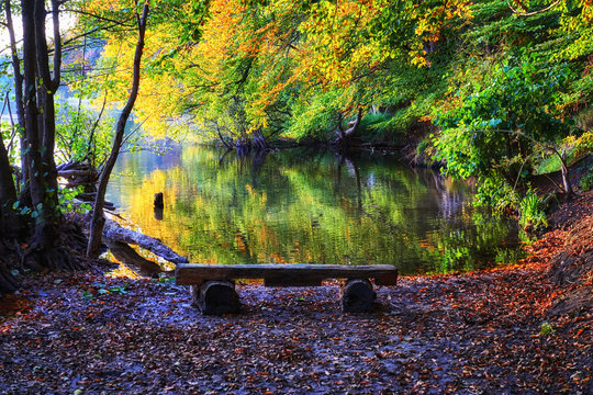 Autumn view of the forest lake with trees and bench.