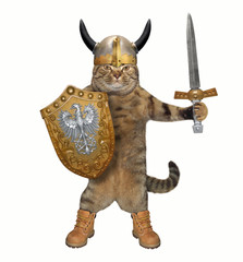 The cat knight in a helmet with horns holds a sword and a shield. White background.