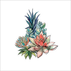 Bouquet of succulents. Flower arrangement for design. Watercolor. Graphics Vector