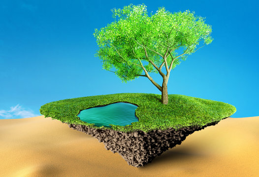 oasis 3D illustration