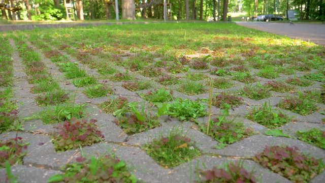 Eco Car Parking With Grass