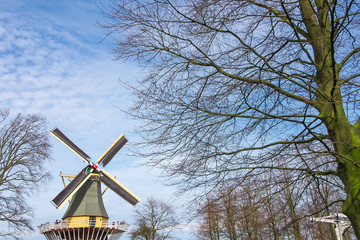 Dutch windmill and leafless trees