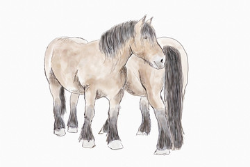zwei Pferde gemalt © Rebel