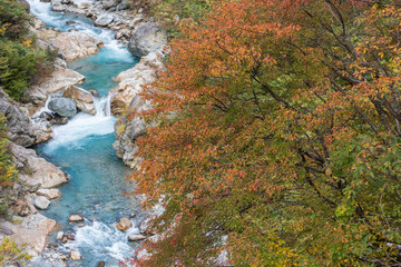 紅葉の黒部峡谷祖母谷